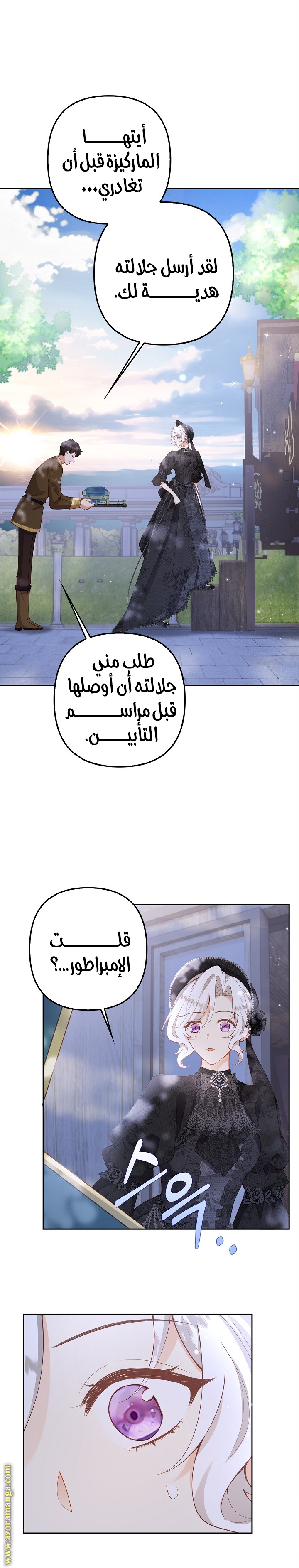 الصفحة 13