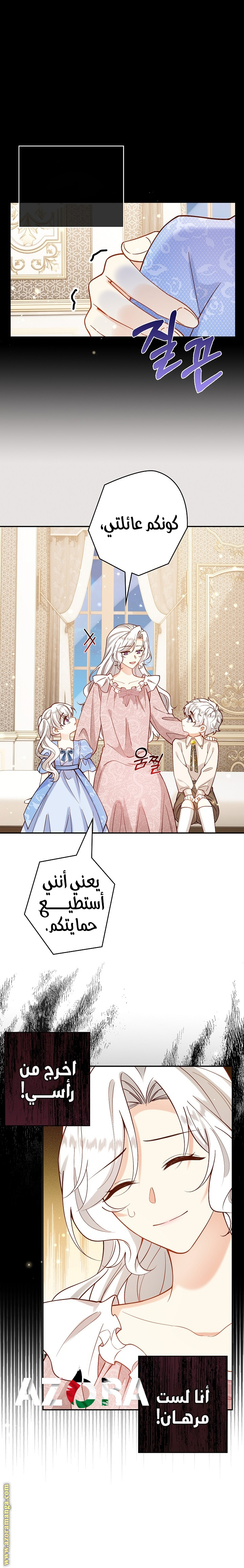 الصفحة 17