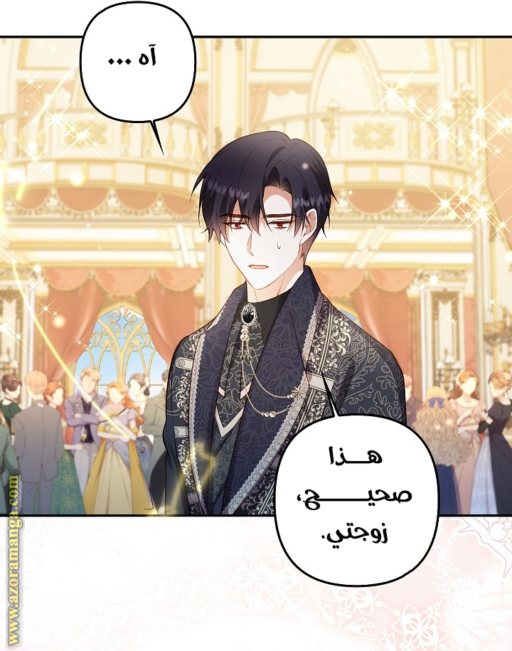 الصفحة 26