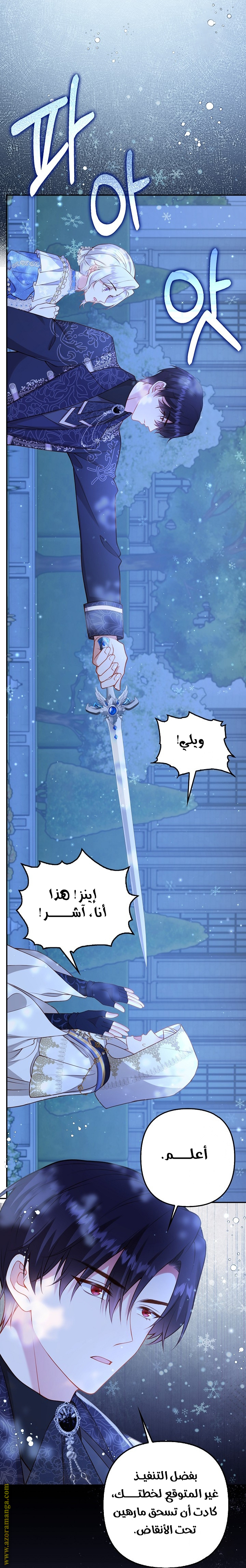 الصفحة 27