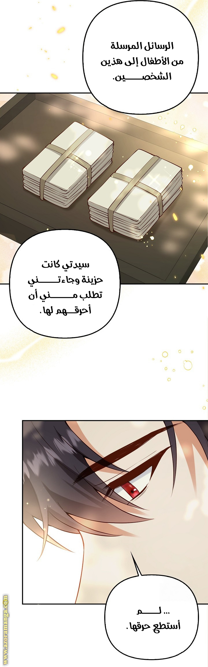 الصفحة 27