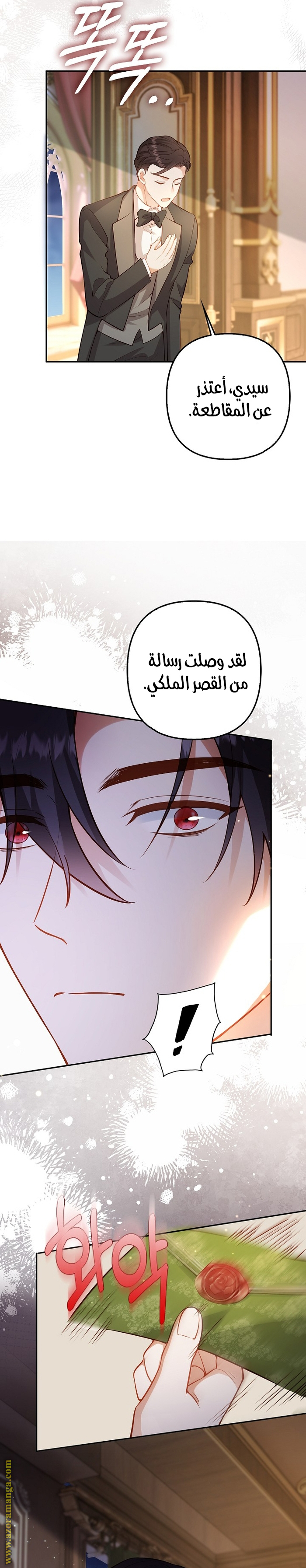 الصفحة 11