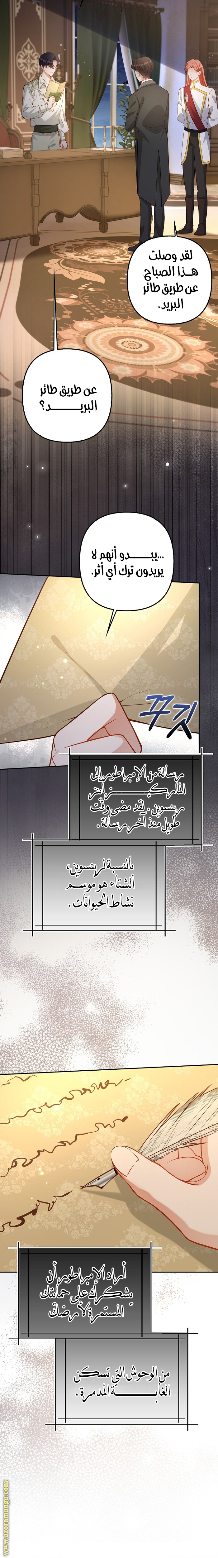 الصفحة 13