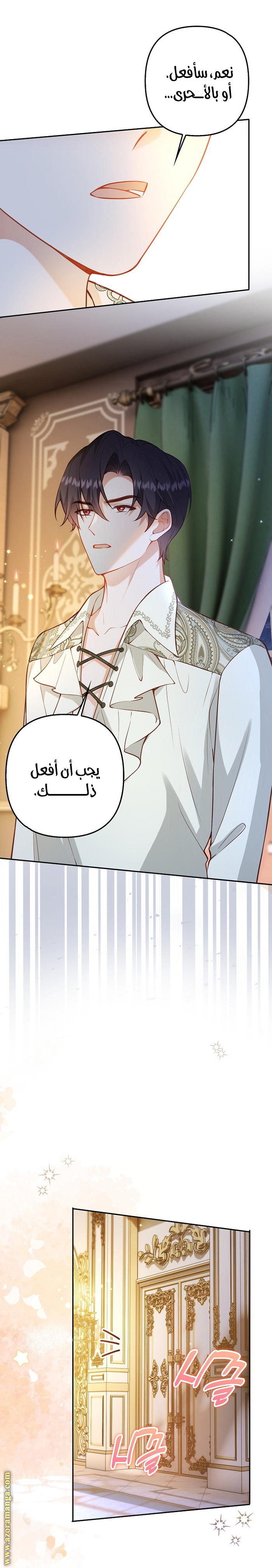 الصفحة 17