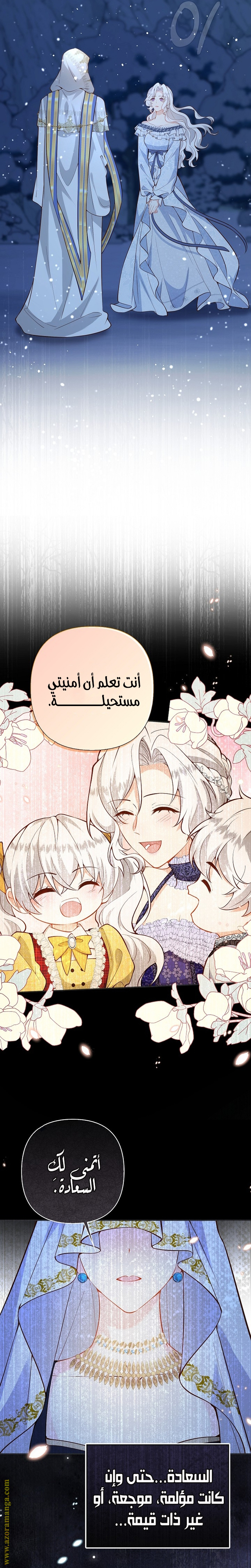 الصفحة 25