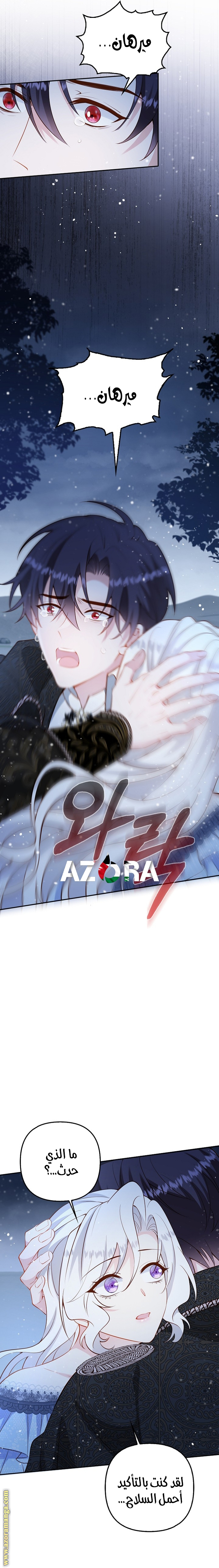 الصفحة 13