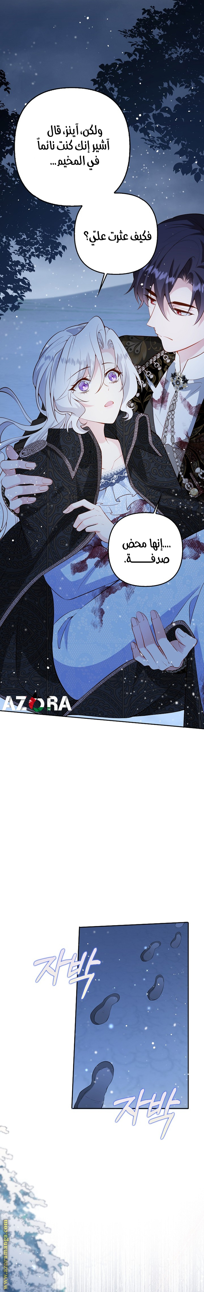 الصفحة 21