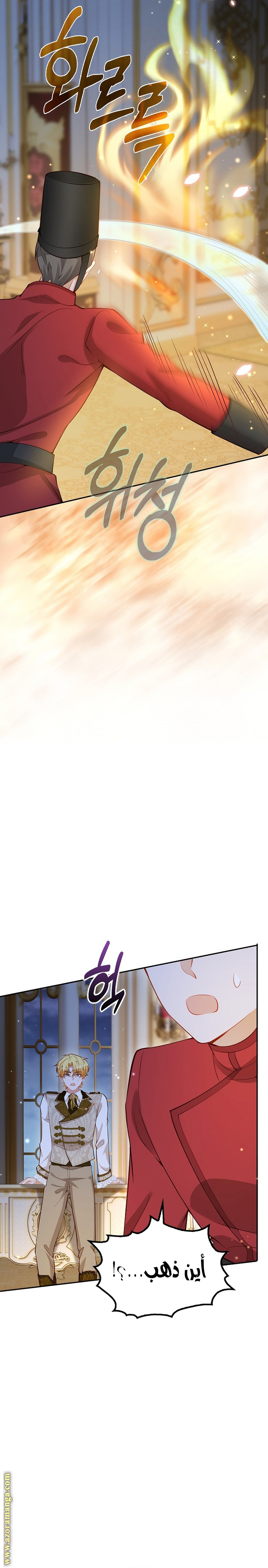 الصفحة 17
