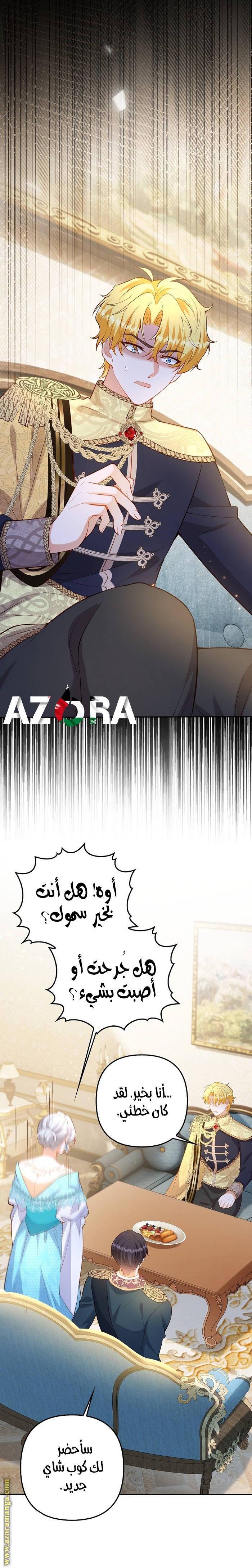 الصفحة 17