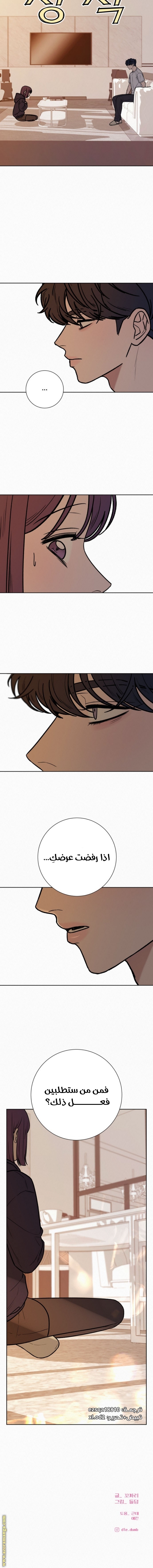 الصفحة 13