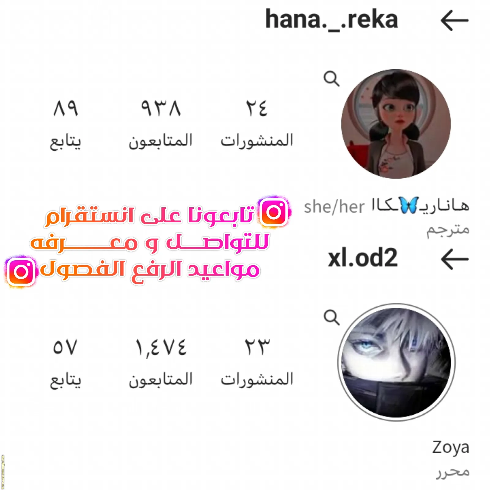 الصفحة 11
