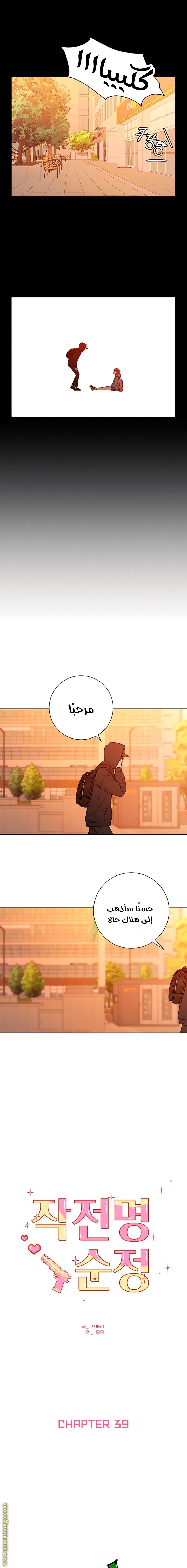 الصفحة 11