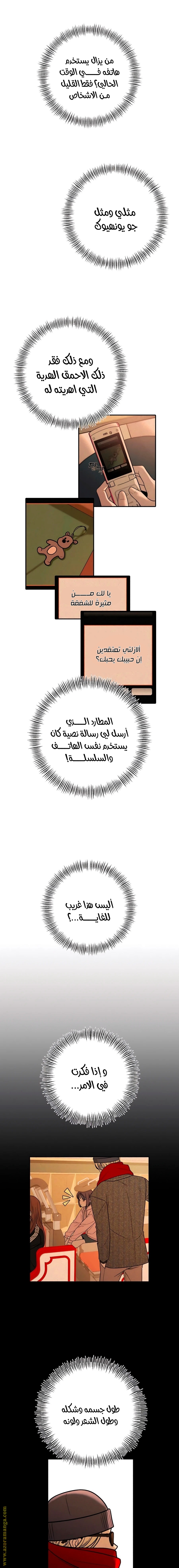 الصفحة 13