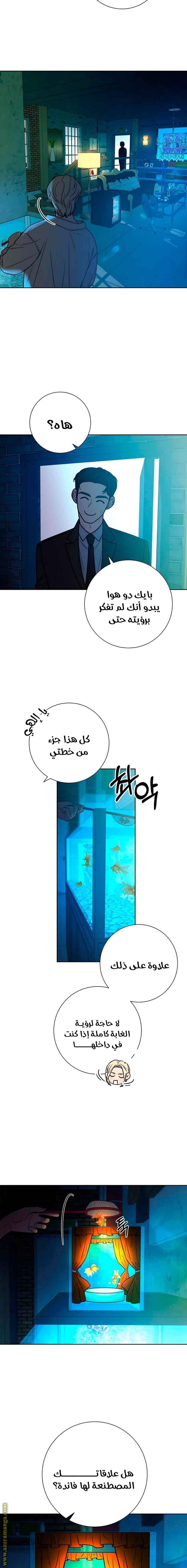 الصفحة 17