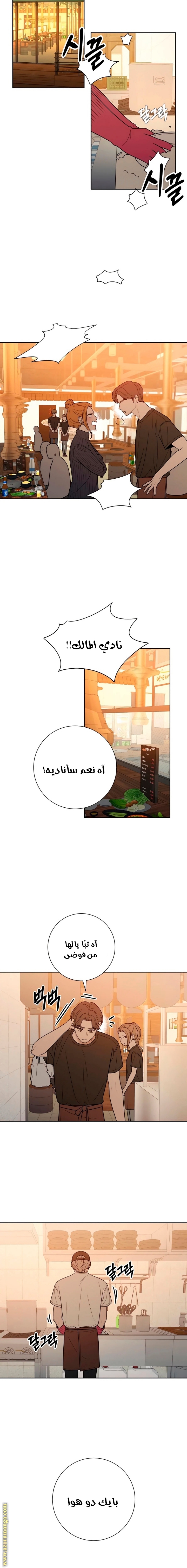 الصفحة 19