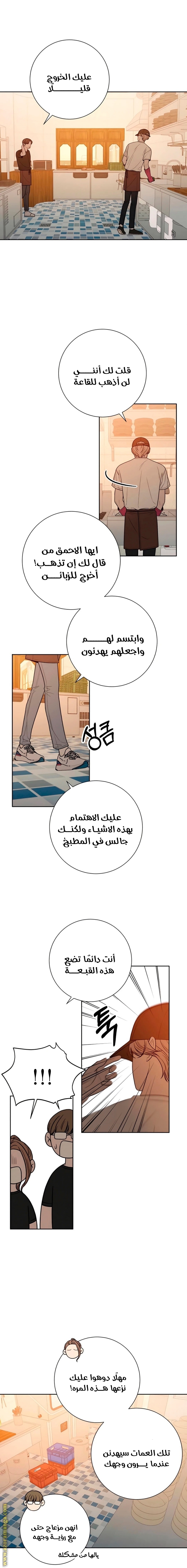 الصفحة 20