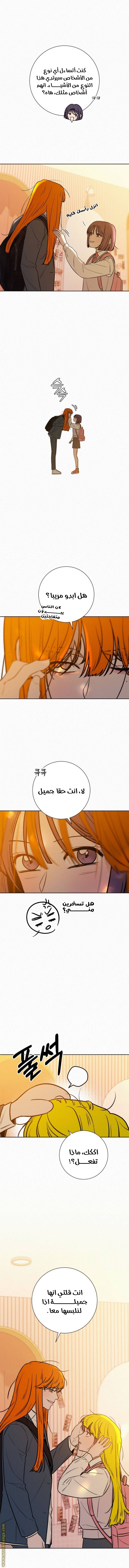 الصفحة 14
