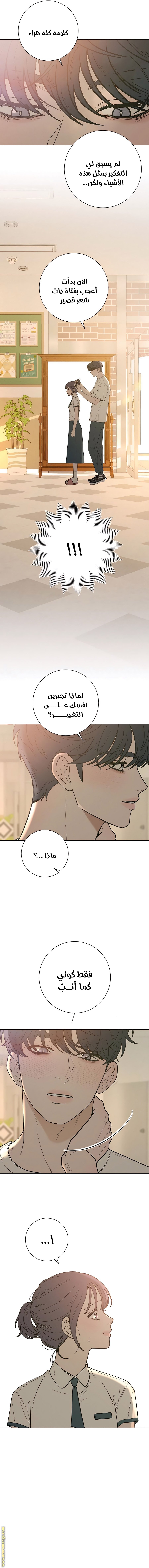 الصفحة 17