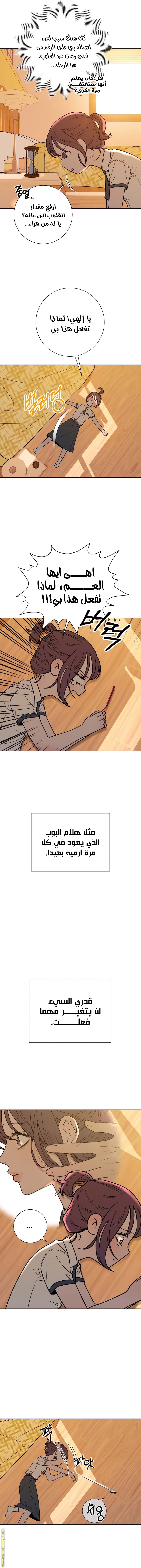 الصفحة 11