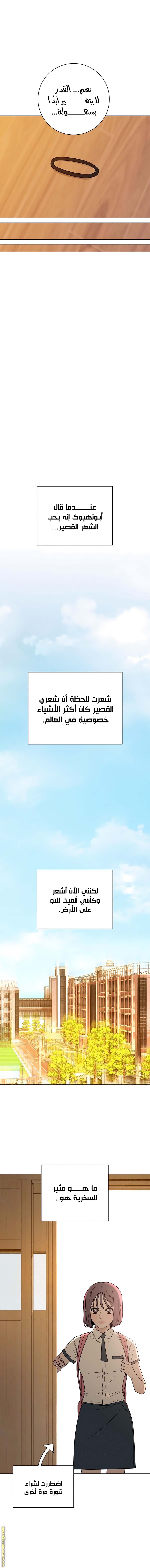 الصفحة 12