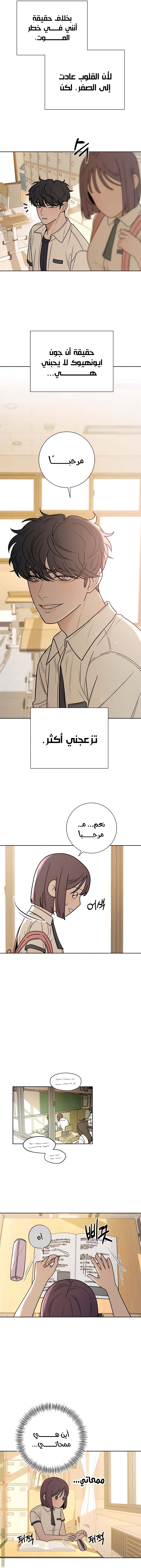 الصفحة 13