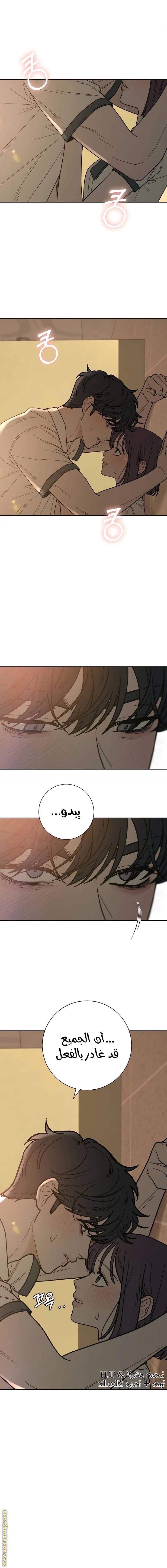 الصفحة 17