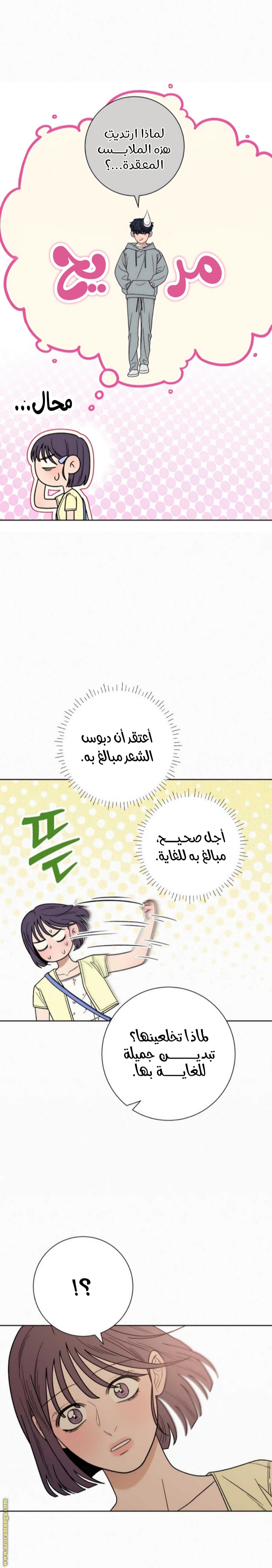 الصفحة 17