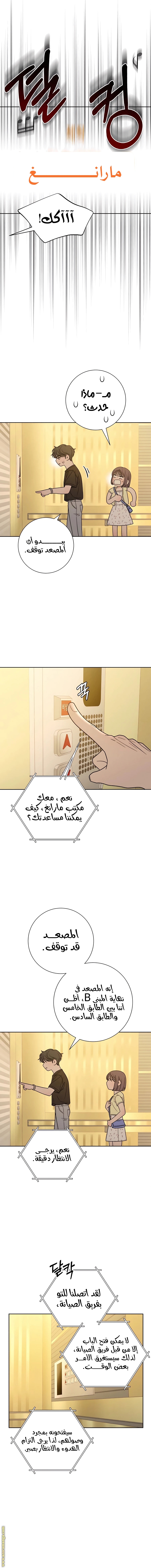 الصفحة 13