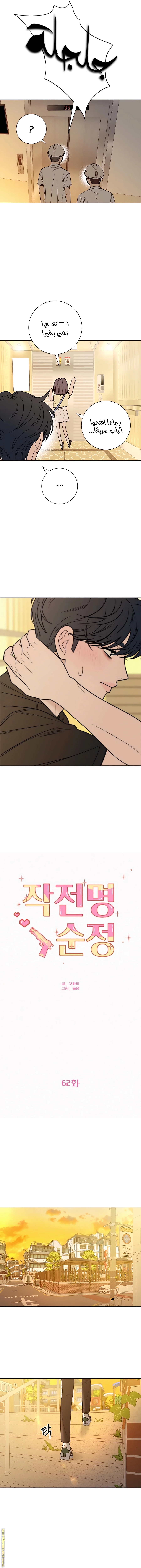 الصفحة 11