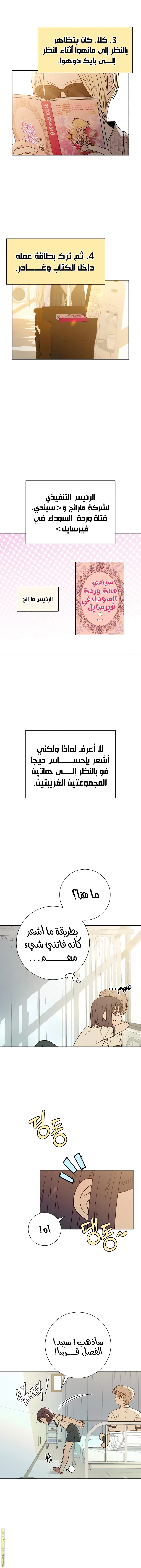 الصفحة 2