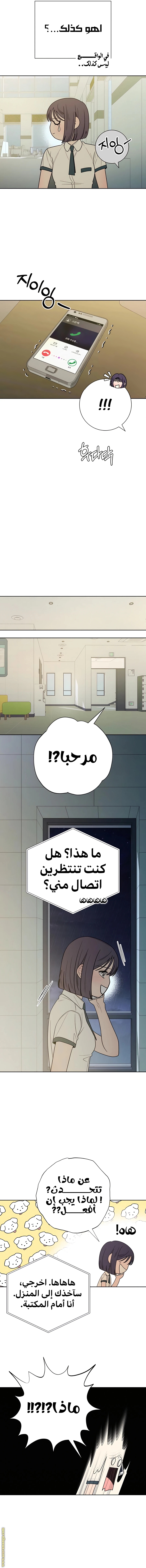 الصفحة 11