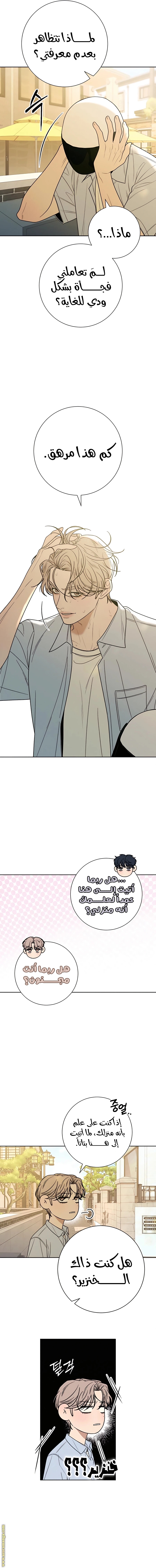 الصفحة 10
