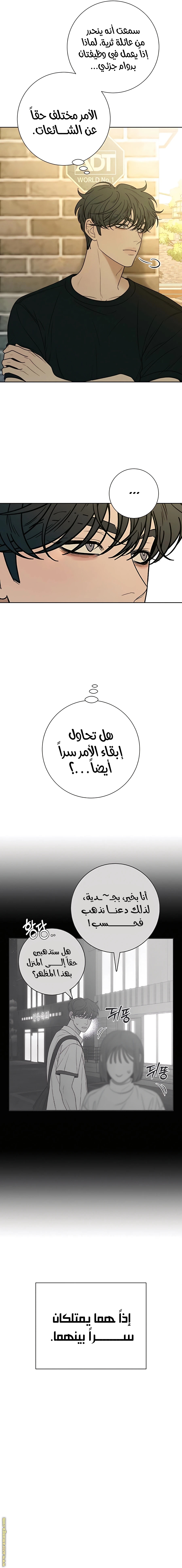الصفحة 13