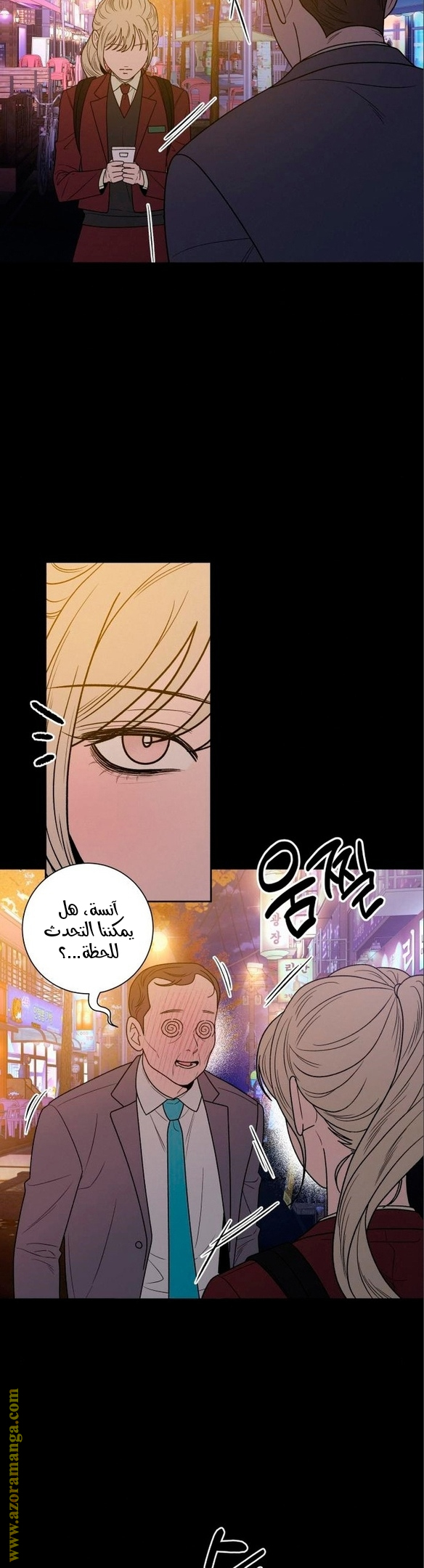 الصفحة 13