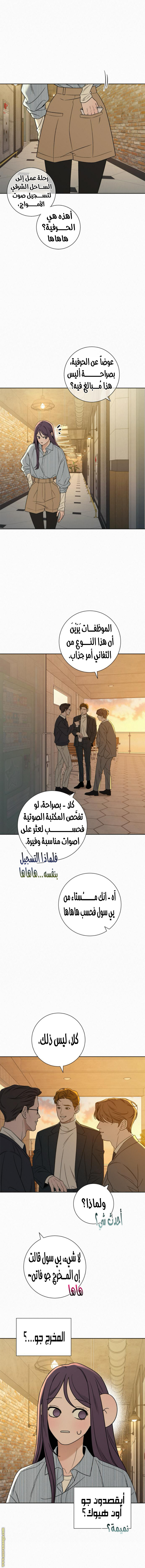 الصفحة 8