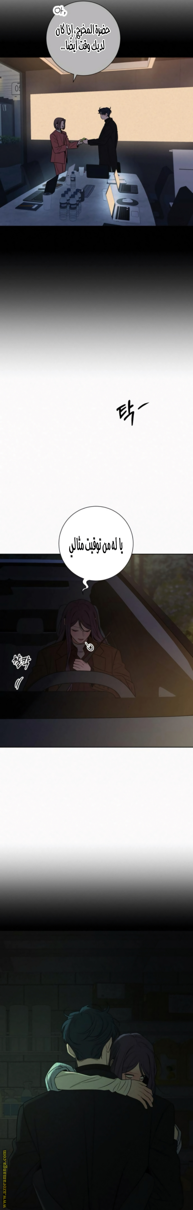 الصفحة 13