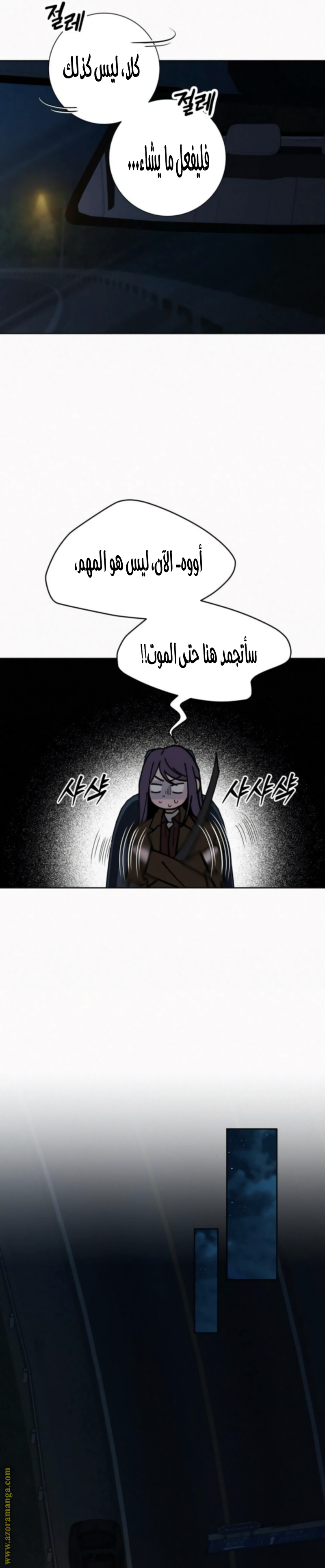 الصفحة 29
