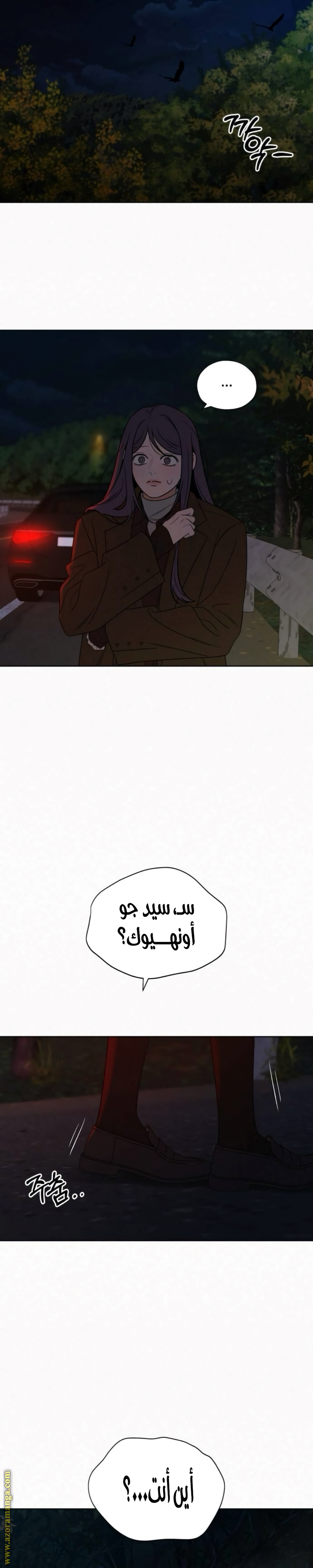 الصفحة 15