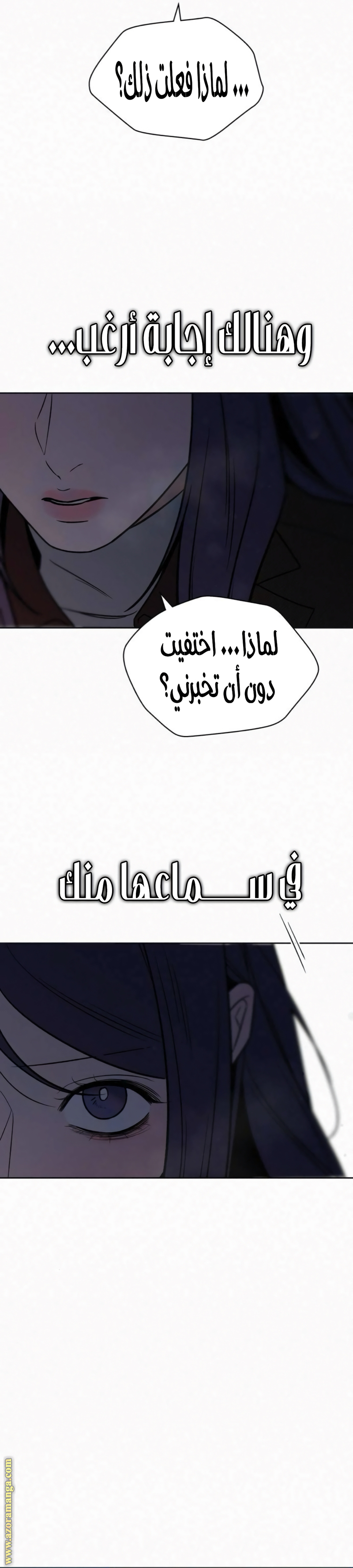 الصفحة 29