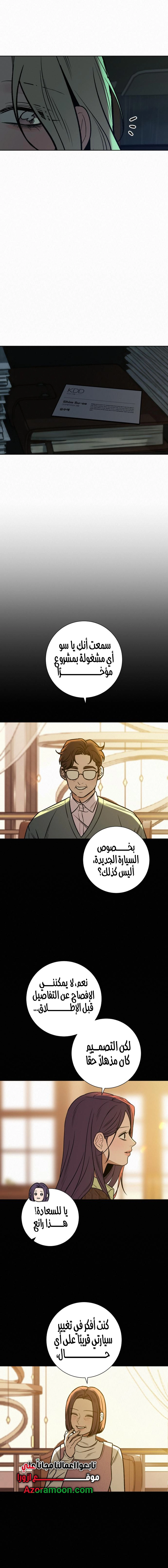 الصفحة 17