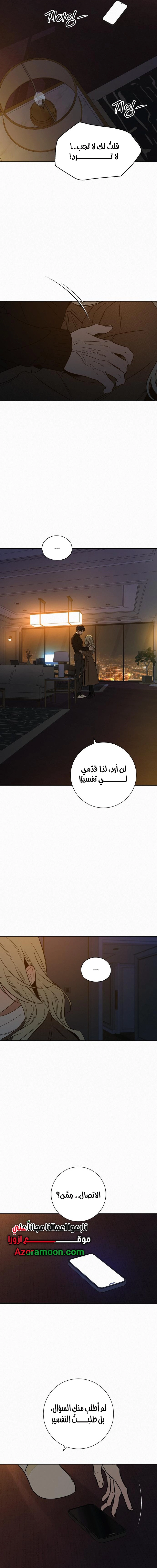 الصفحة 17