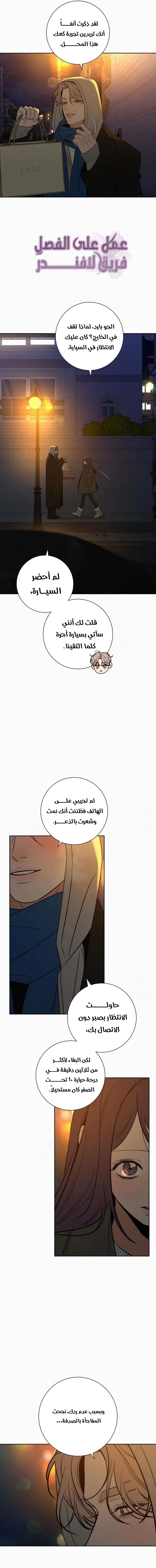 الصفحة 17
