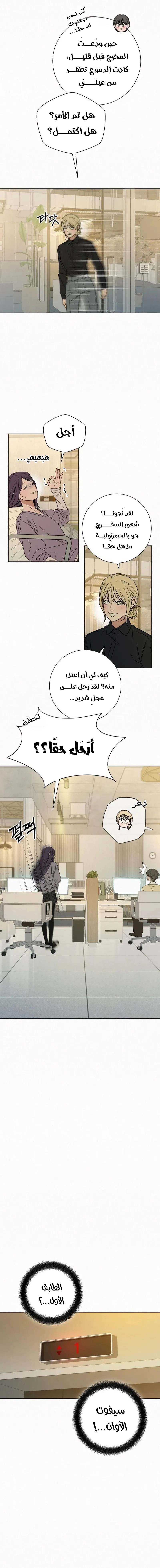 الصفحة 17