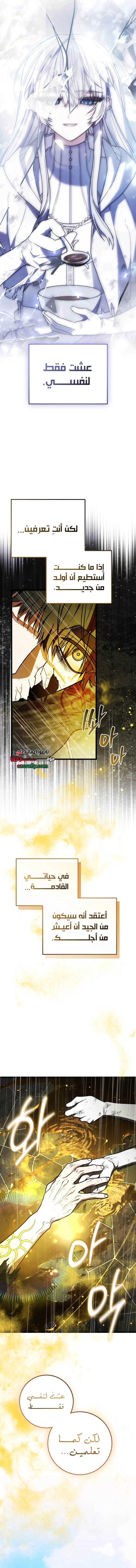 الصفحة 19