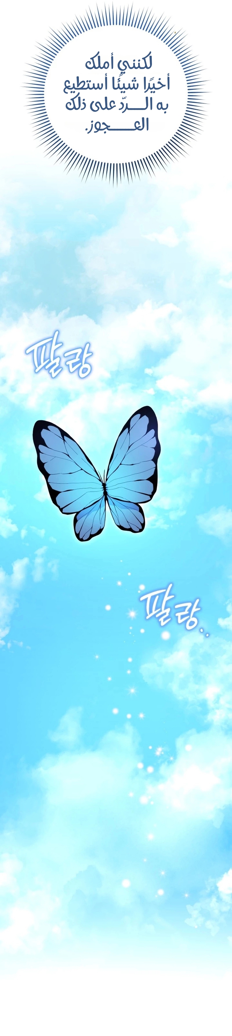 الصفحة 24
