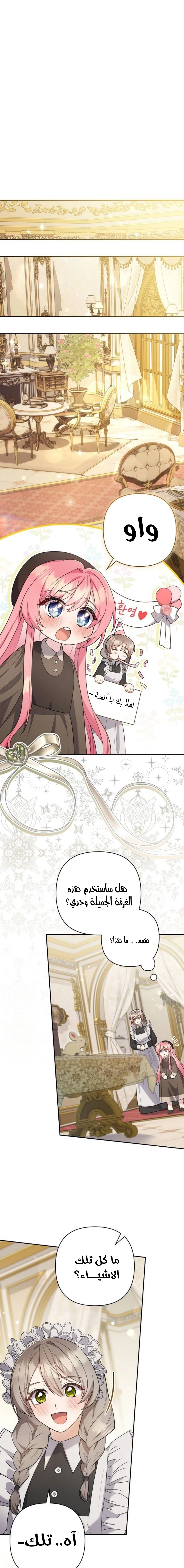 الصفحة 17