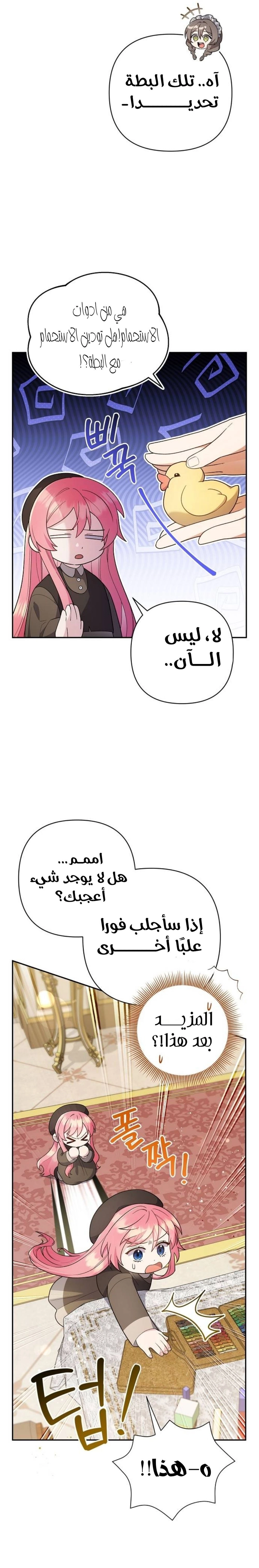 الصفحة 19