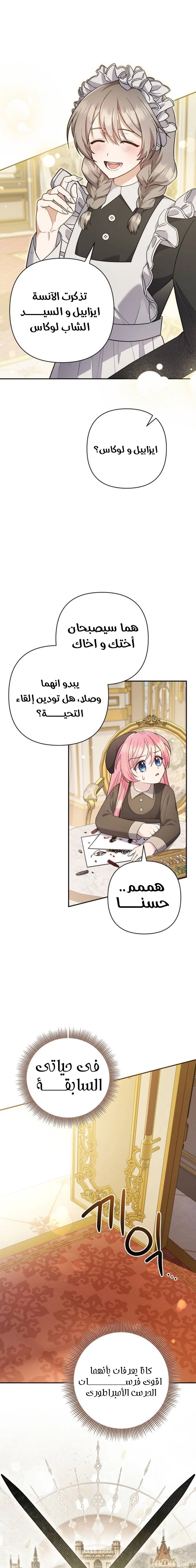 الصفحة 28