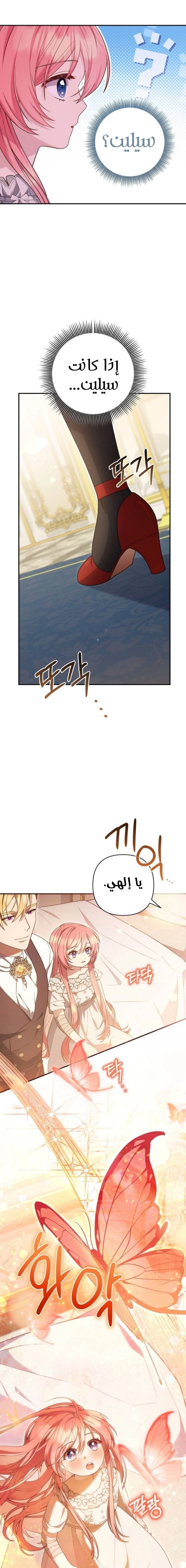 الصفحة 27