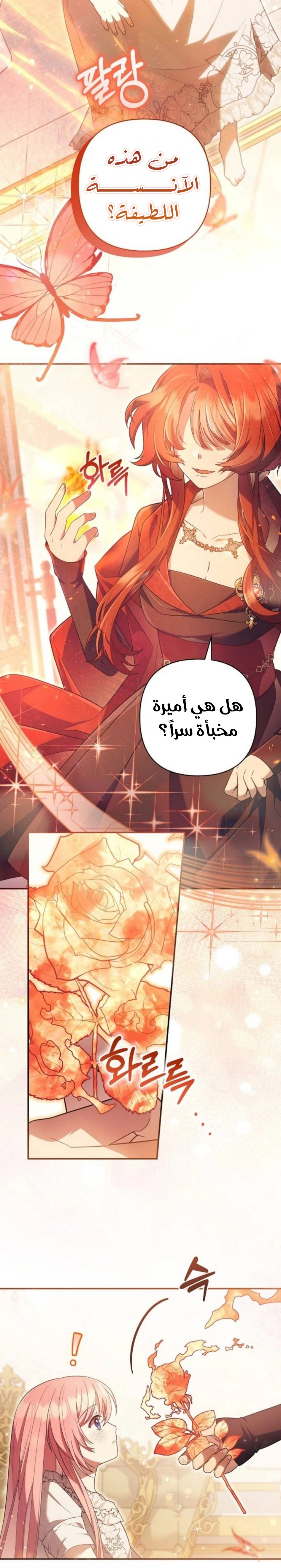 الصفحة 28